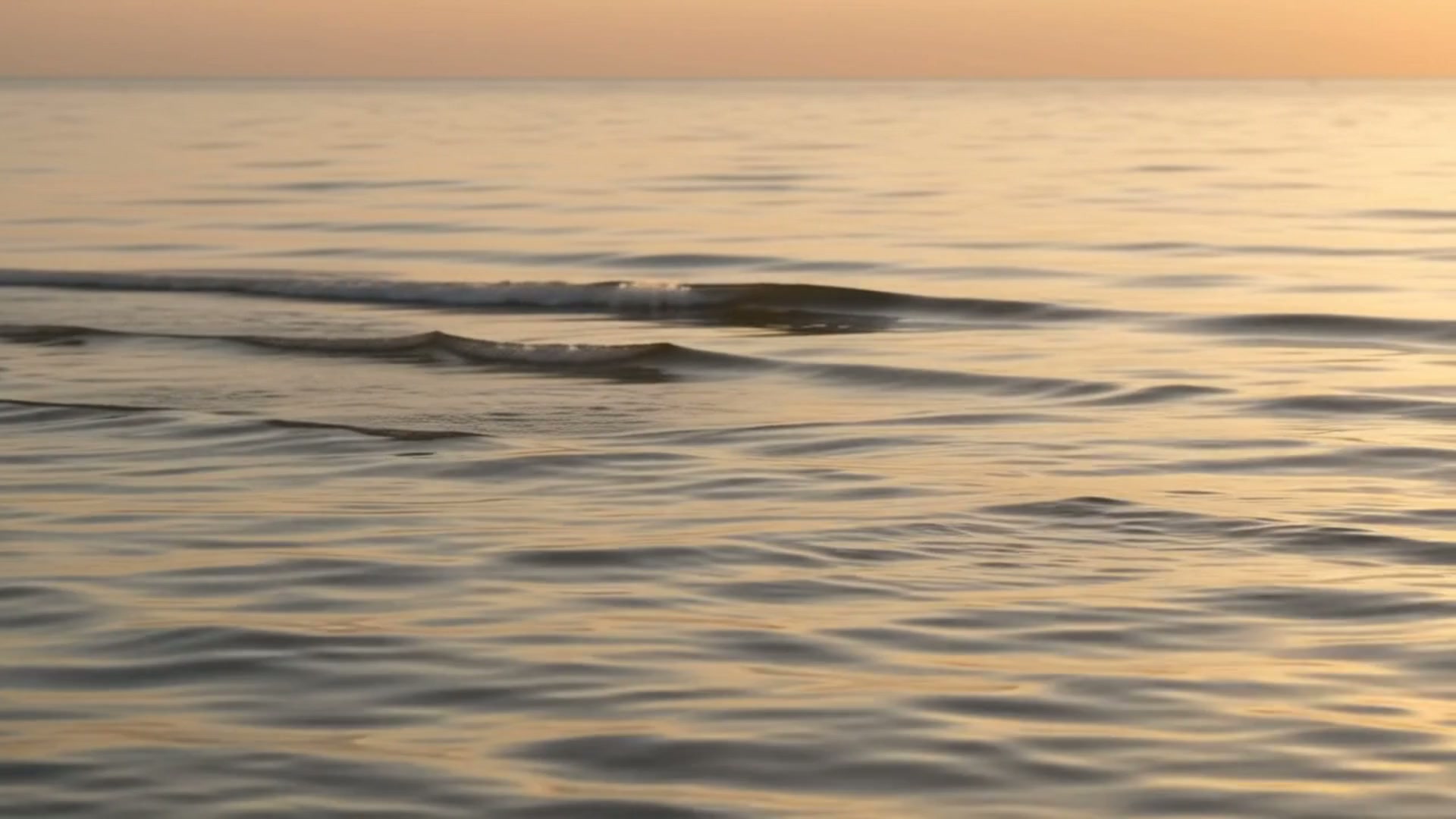 Ocean Waves
